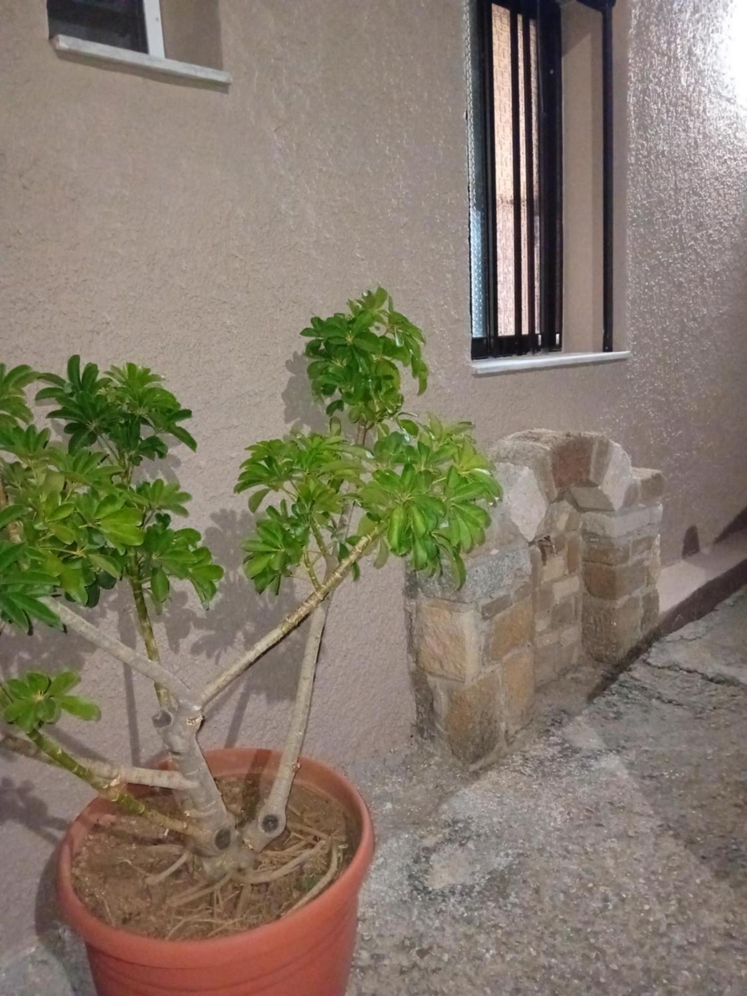 Vila Casa Artemis Plátanos Exteriér fotografie